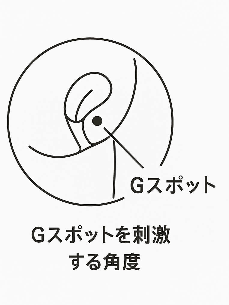 Gスポットの位置と体内のイメージ